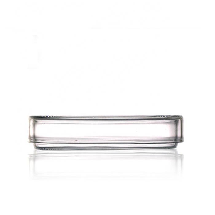 Labs 100mm Borosilicate Glass Petri Dish