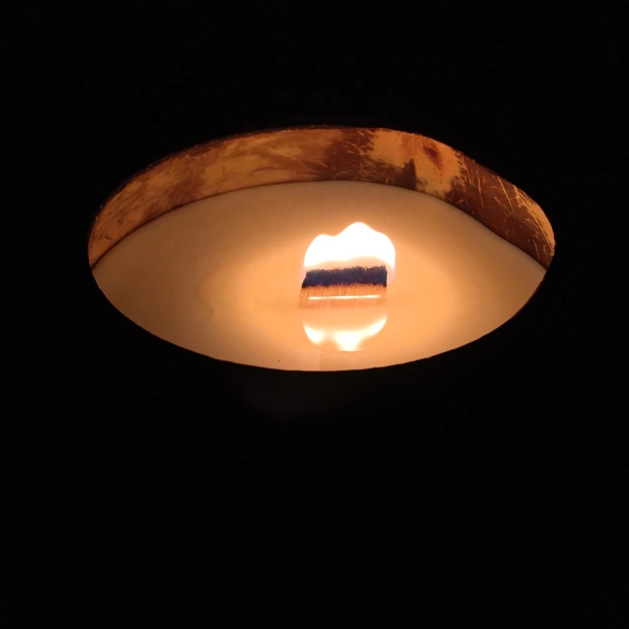 Citronella scented coconut candle in coconut shell bowl charming fragrant soy wax candle made in Vietnam