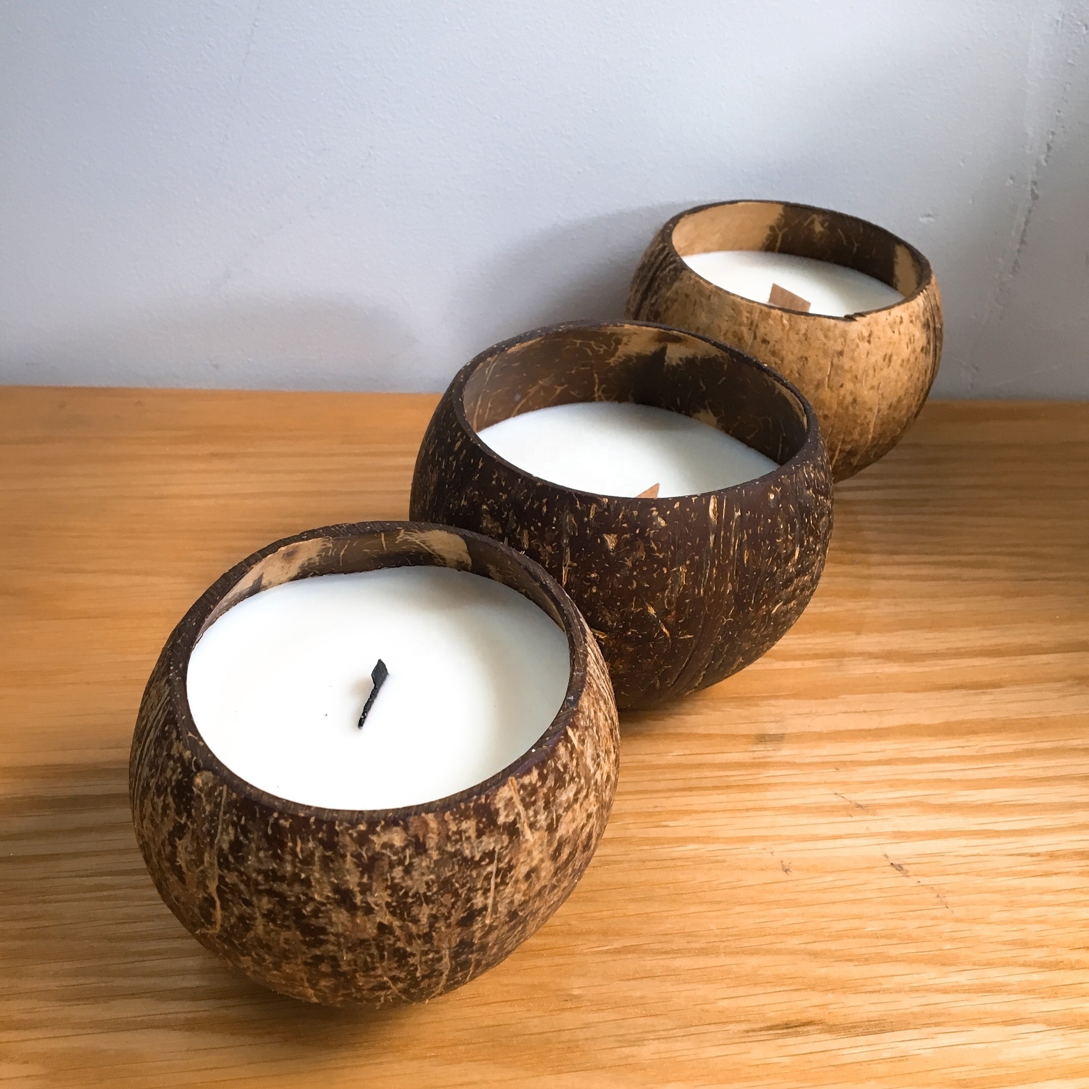 Citronella scented coconut candle in coconut shell bowl charming fragrant soy wax candle made in Vietnam