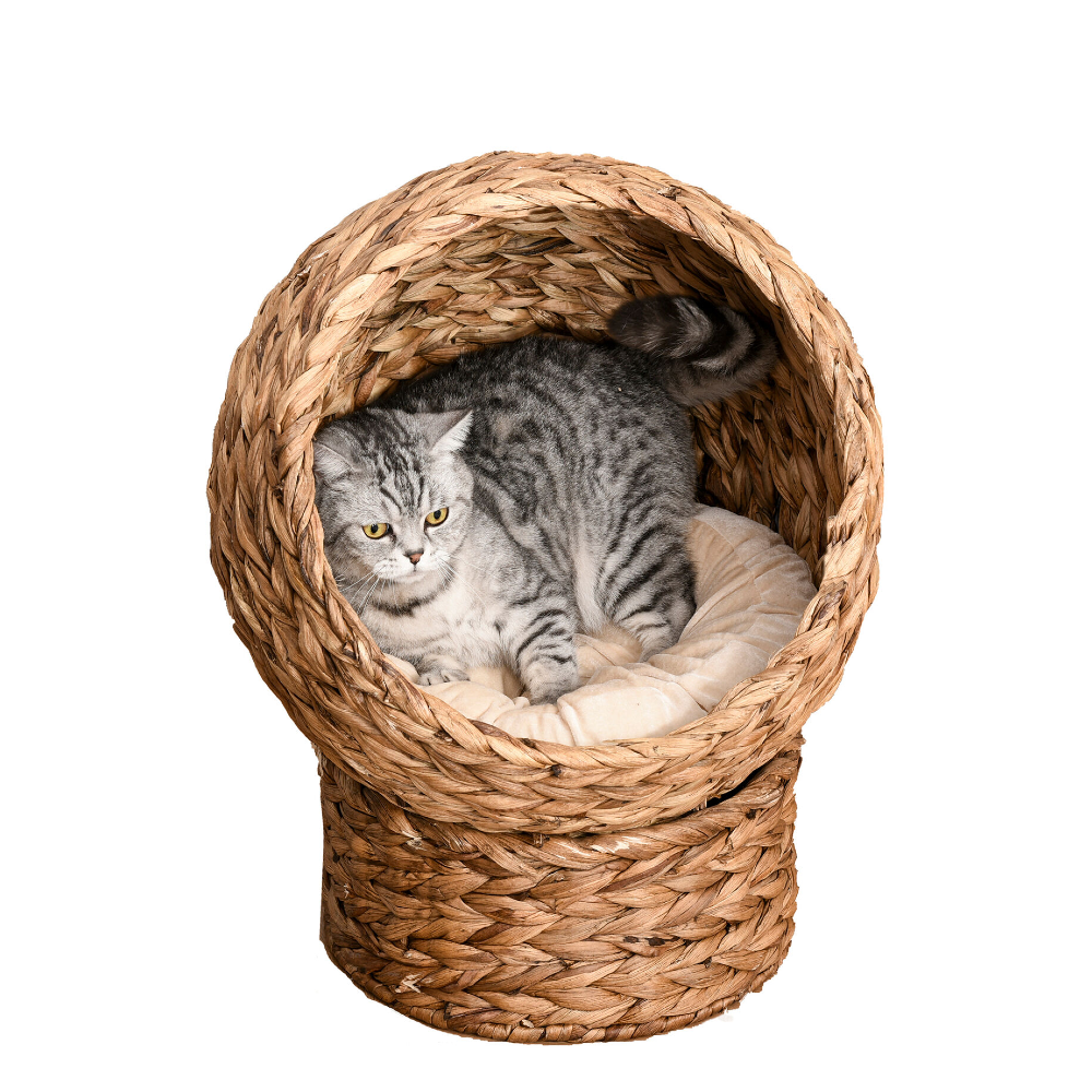 High quality best selling natural water hyacinth elevated cat bed basket house chair sofa made in Vietnam