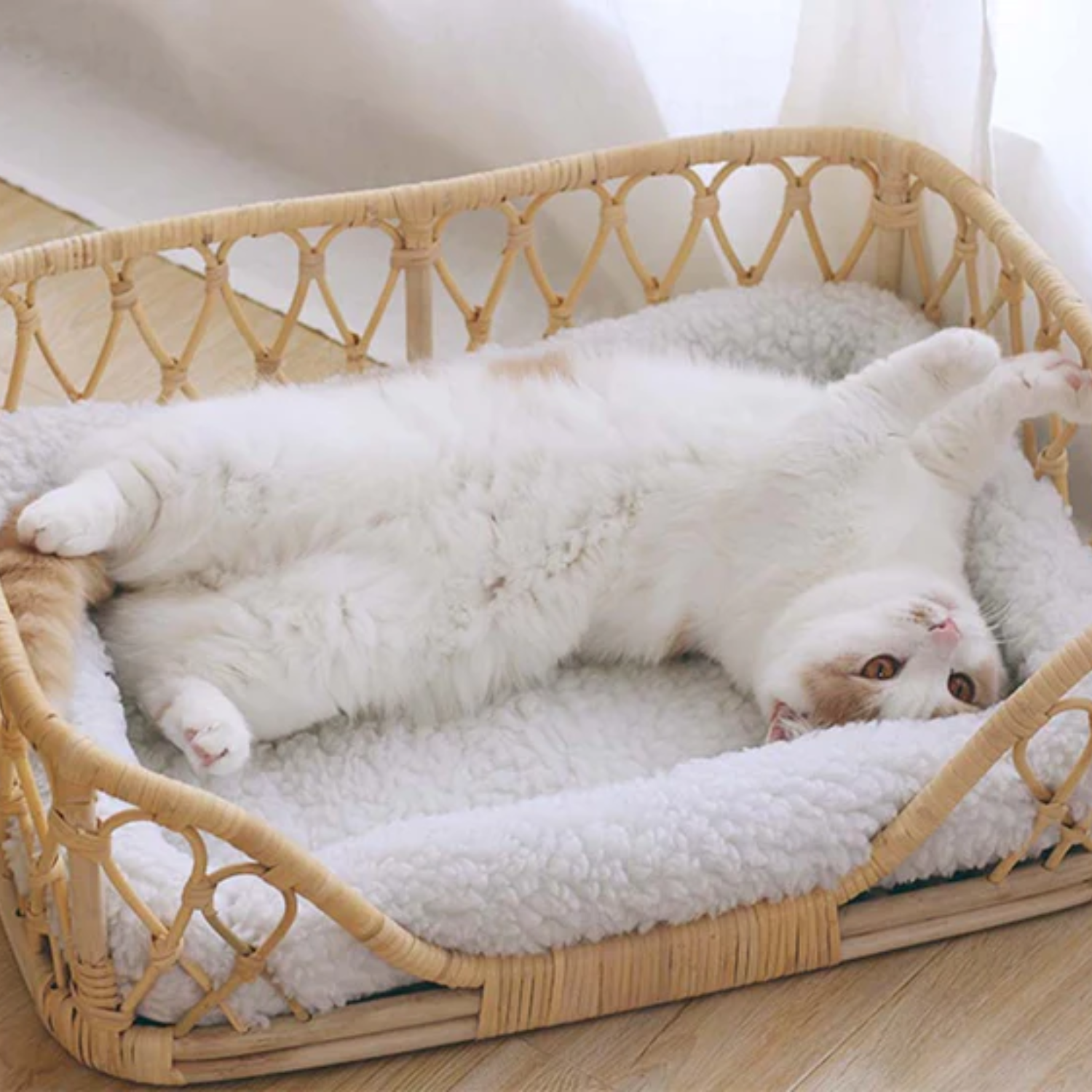 Wholesale handwicker rattan rectangle pet bed with soft cushion eco-friendly minimal look nice price from Vietnam