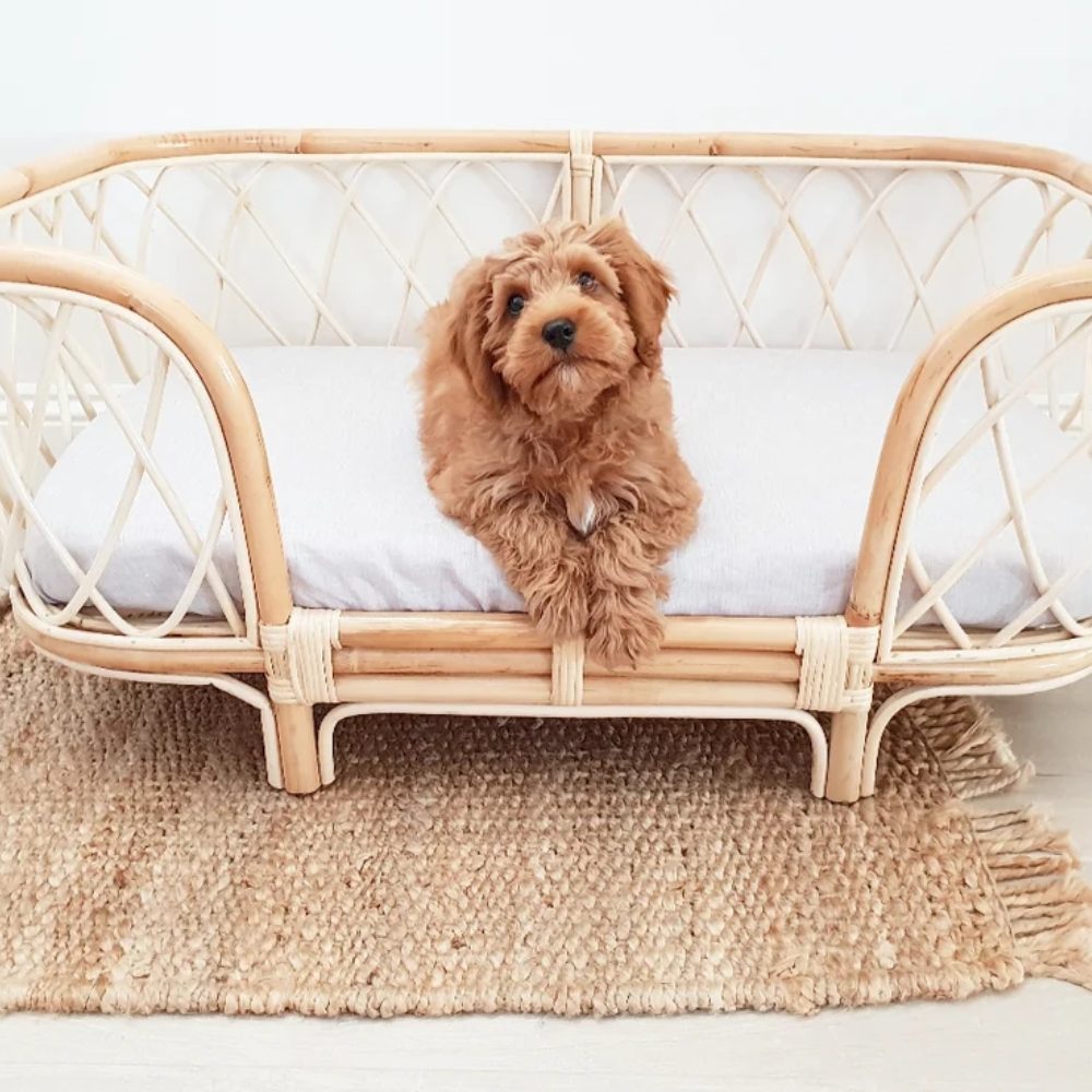 Flat sale new item natural rattan bed for pet eco-friendly bed for cats dogs with soft cushion handwoven in Vietnam