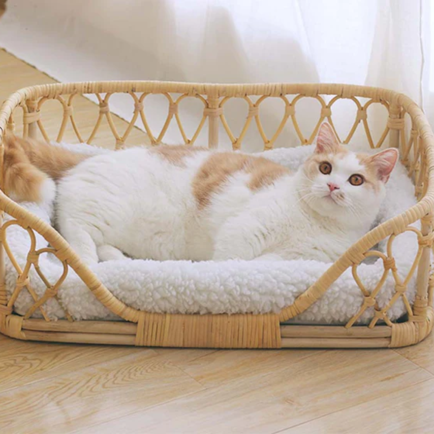 Wholesale handwicker rattan rectangle pet bed with soft cushion eco-friendly minimal look nice price from Vietnam