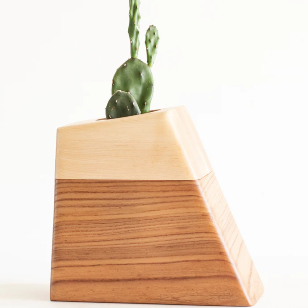 Best selling handmade modern wooden cremation urn with holder to house a plant for human pets from Vietnam