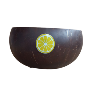 Newest design environmentally natural coconut painted bowl hand-painted organic coconut shells from Vietnam