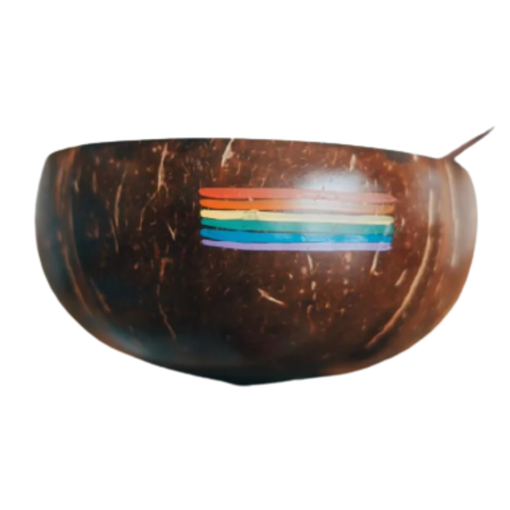 Newest design environmentally natural coconut painted bowl hand-painted organic coconut shells from Vietnam