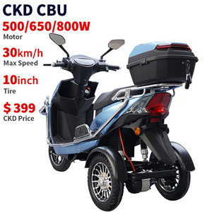 CKD CBU 10inch electric handicapped tricycle 500/650/800W 30km/h speed wholesale price electric scooter tricycle