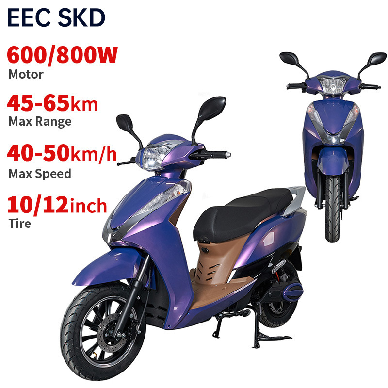 2 wheel electric motorcycle adult 600W/800W 40-50km/h speed 45-65km range pedal assist electric moped scooter