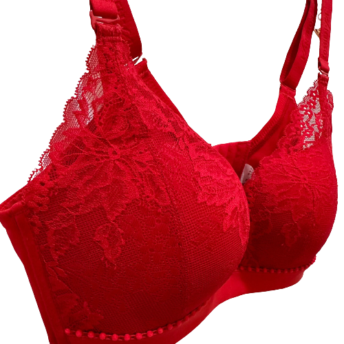 Casual Lace Womens Push Up Bras Romantic And Sexy Womens Bra 65A-B 70B 70E 85A 85B 85F Adult Sexy Womens Bra