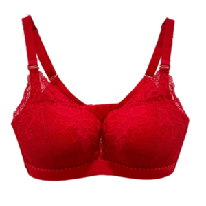 Casual Lace Womens Push Up Bras Romantic And Sexy Womens Bra 65A-B 70B 70E 85A 85B 85F Adult Sexy Womens Bra