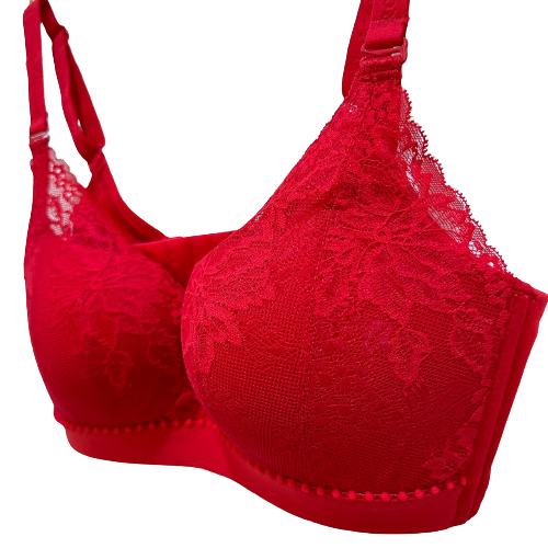 Casual Lace Womens Push Up Bras Romantic And Sexy Womens Bra 65A-B 70B 70E 85A 85B 85F Adult Sexy Womens Bra