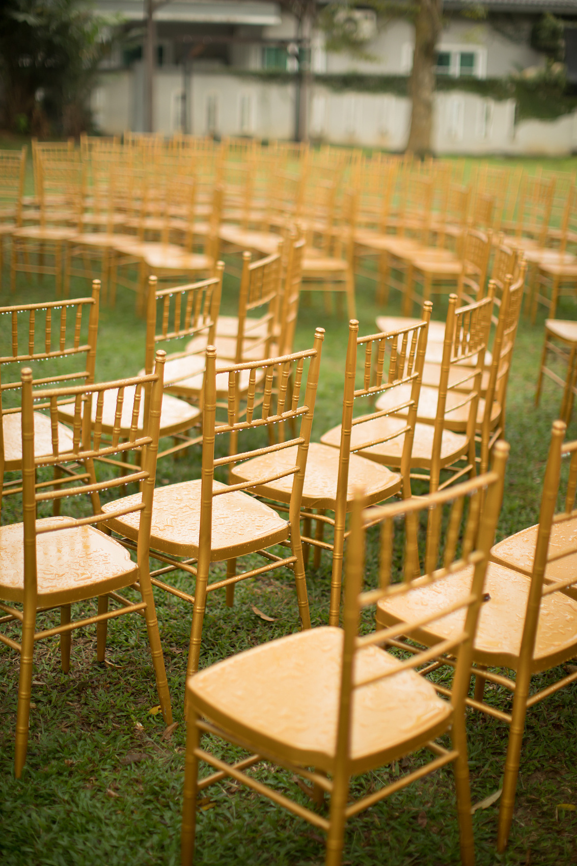 Wholesale High quality Hotel Dinning Tiffany Bamboo Metal Gold Aluminum Wedding Banqueting Stacking Chair