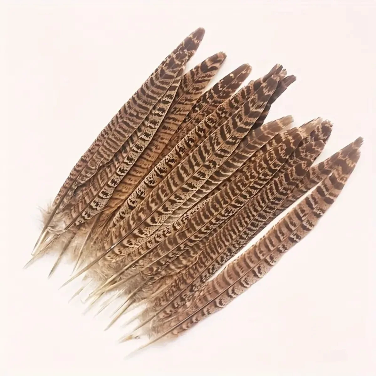 10-30cm (4-12in) Natural Pheasant Long Tails Feathers Hen's Tail feathers for Carnival decoration dress Accessories