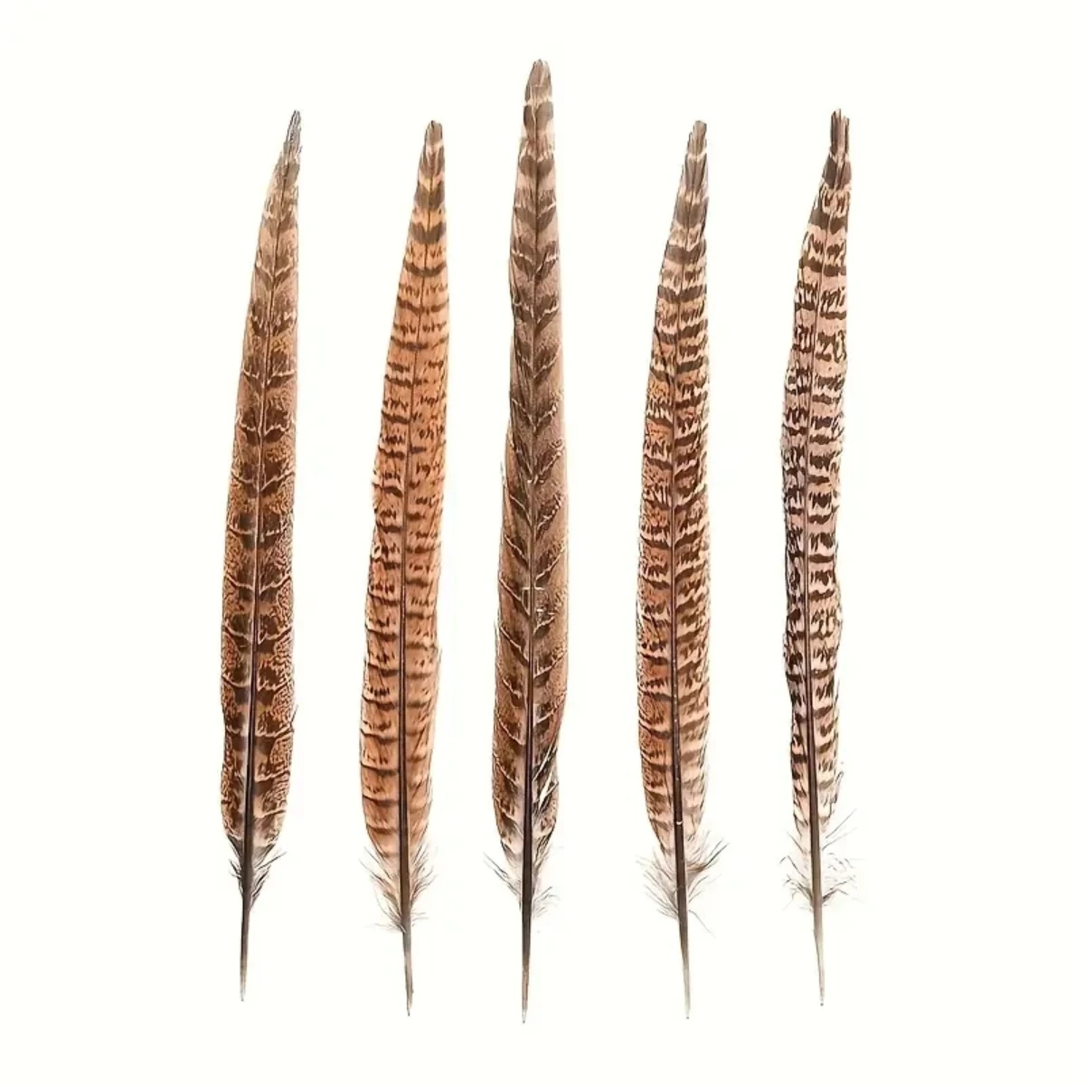 10-30cm (4-12in) Natural Pheasant Long Tails Feathers Hen's Tail feathers for Carnival decoration dress Accessories