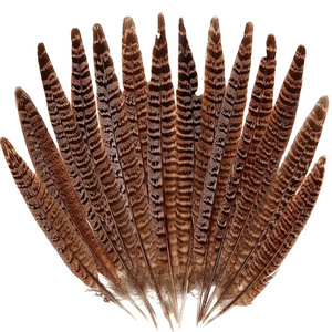 10-30cm (4-12in) Natural Pheasant Long Tails Feathers Hen's Tail feathers for Carnival decoration dress Accessories