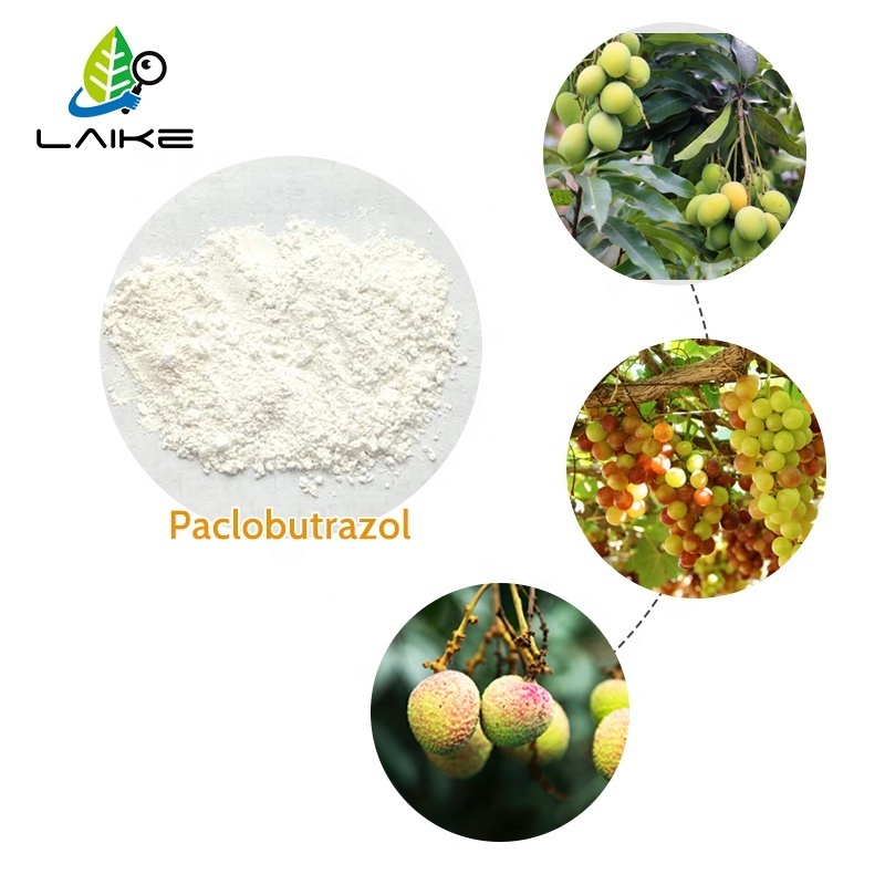 Cheap Wholesale Plant Growth Regulator Paclobutrazol-Powder Paclobutrazol 95% Tc 15%wp 25%sc For Mango Fertilizer