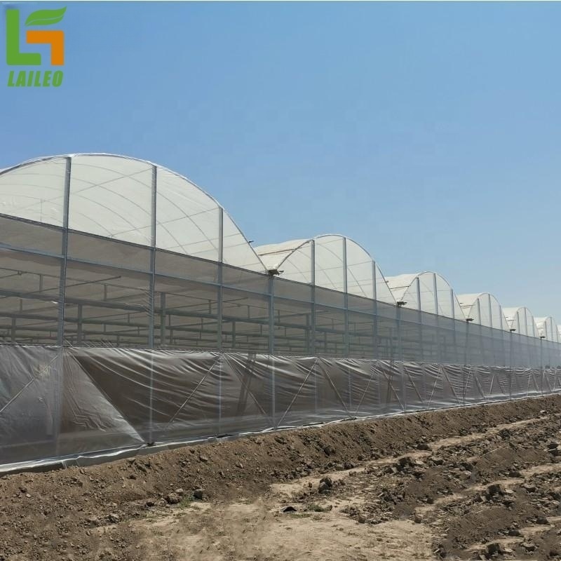 Commercial Used Multi span Agricultural Greenhouses Steel Structure Single Layer Greenhouse for Sale