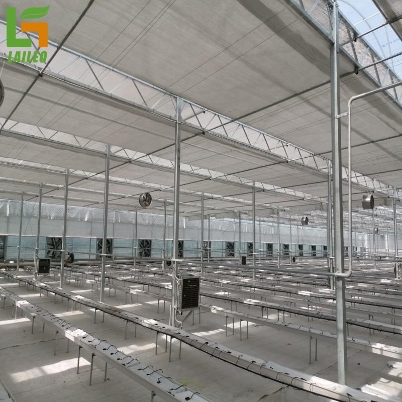 Commercial Used Multi span Agricultural Greenhouses Steel Structure Single Layer Greenhouse for Sale