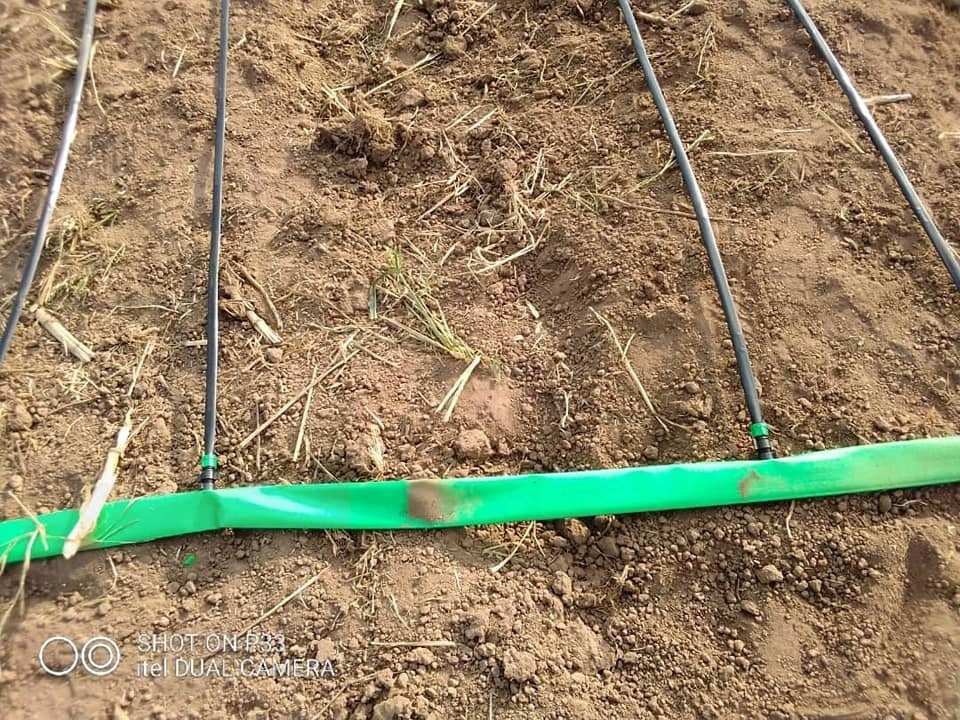 Farmland Sprinkler Irrigation System PVC Lay Flat Discharge Pipe 2.5 Inch Agricultural Irrigation PVC Layflat Hose