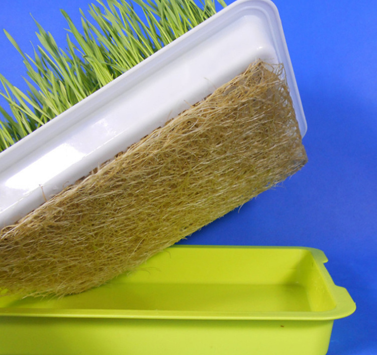 Seedling Tray Microgreen Planter Plastic Nursery Sprout With High Quality Pp For Home Garden Vegetable Seeding tray