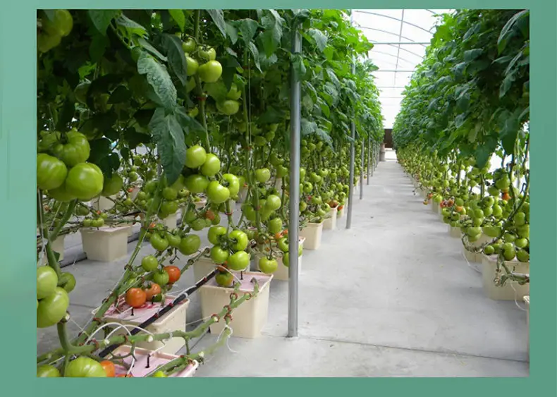 30*25*23 Hydroponic Dutch Bucket For Soilless Culture Drip Irrigation Planting For  Tomatoes, Cucumbers, Peppers, Scallions