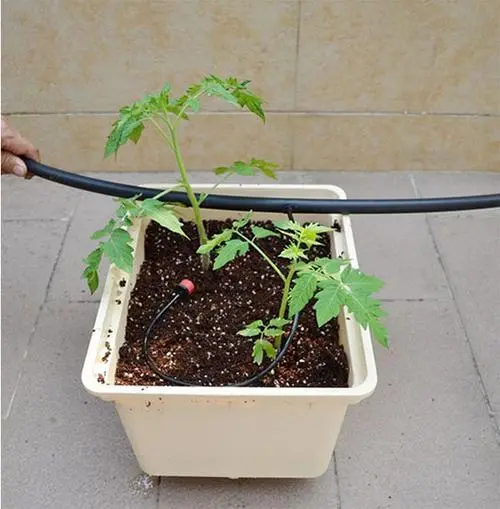 30*25*23 Hydroponic Dutch Bucket For Soilless Culture Drip Irrigation Planting For  Tomatoes, Cucumbers, Peppers, Scallions