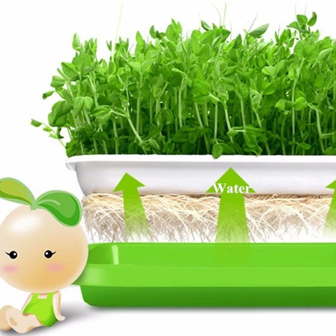 Seedling Tray Microgreen Planter Plastic Nursery Sprout With High Quality Pp For Home Garden Vegetable Seeding tray