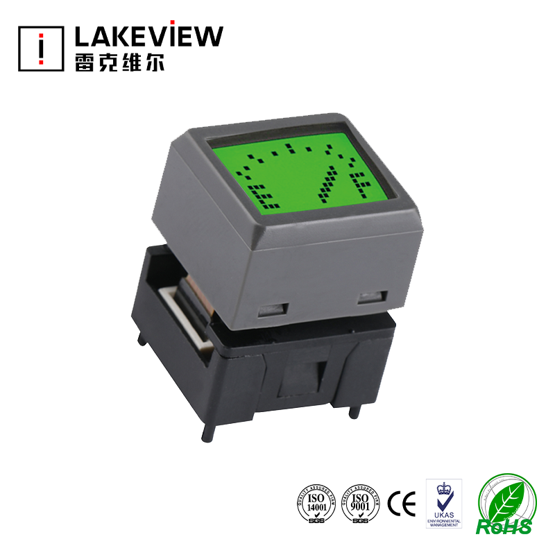 Lakeview RGB Backlight SPI LED LCD OLED Display Screen Momentary Programmable Push Button Switch