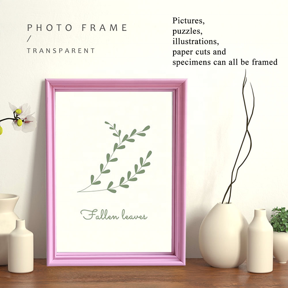 Creative Photo Frame Table macaron color Photo Frame Hollow 6-Inch 7-Inch A4 Double-Sided Glass Plant Specimen Picture Frame