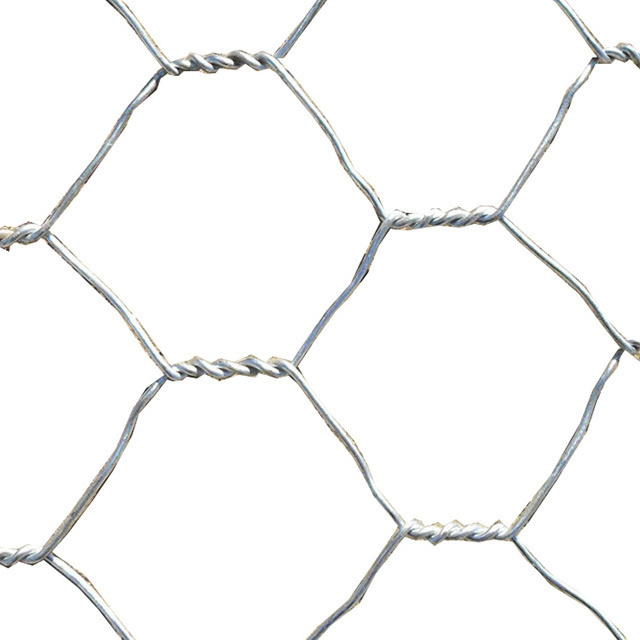 Galvanized Hexagonal Wire Mesh Netting  Chicken Hexagonal Wire netting