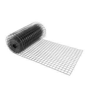 Hot Dipped Galvanized Fencing Iron Netting 10 gauge Welded Wire Mesh rolls for rabbit bird Animal Pet Cages