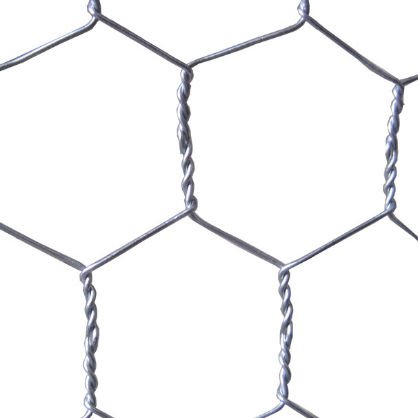 Galvanized Hexagonal Wire Mesh Netting  Chicken Hexagonal Wire netting