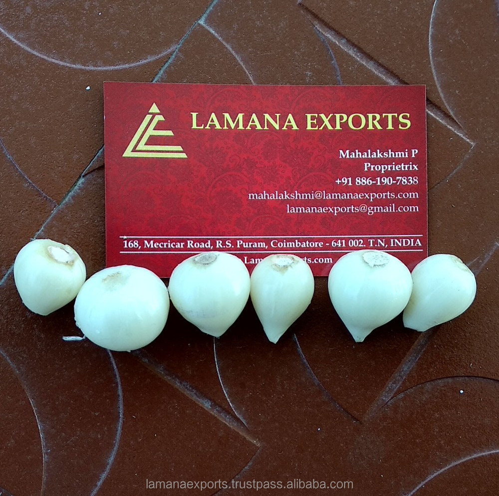 Single Garlic for Export Vietnam Malaysia Singapore