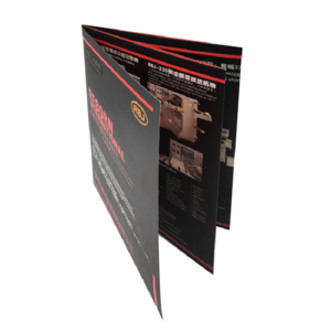 Professional Free Design Low Cost Saddle Stitching Full Color Brochure Printing Booklet Printing Service