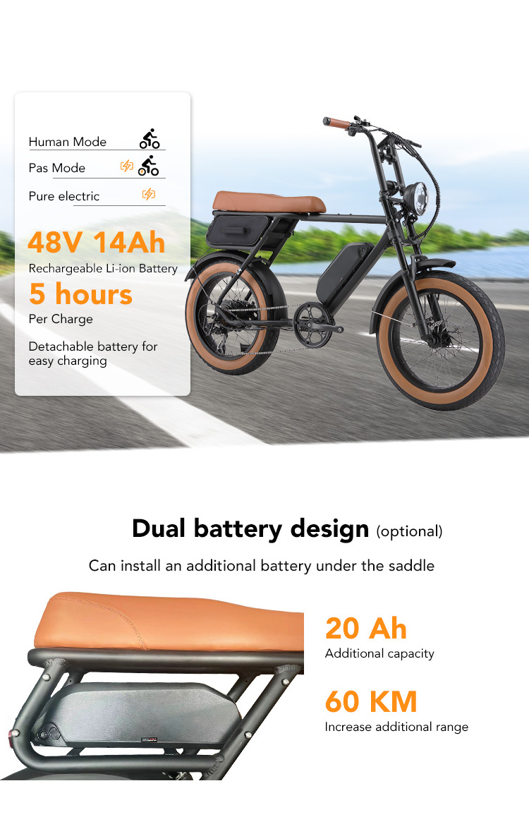 Eu Warehouse Electric Bike Fat Tyre 20Inch 250W 750W 1000W Suspension Electric Fatbike Motorcycle Ebike