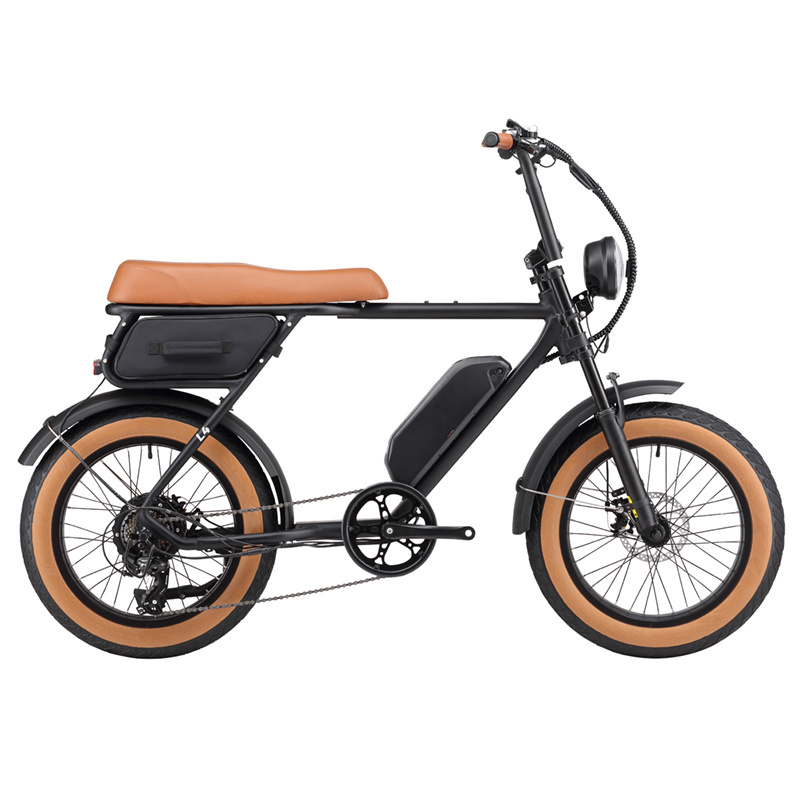 Eu Warehouse Electric Bike Fat Tyre 20Inch 250W 750W 1000W Suspension Electric Fatbike Motorcycle Ebike