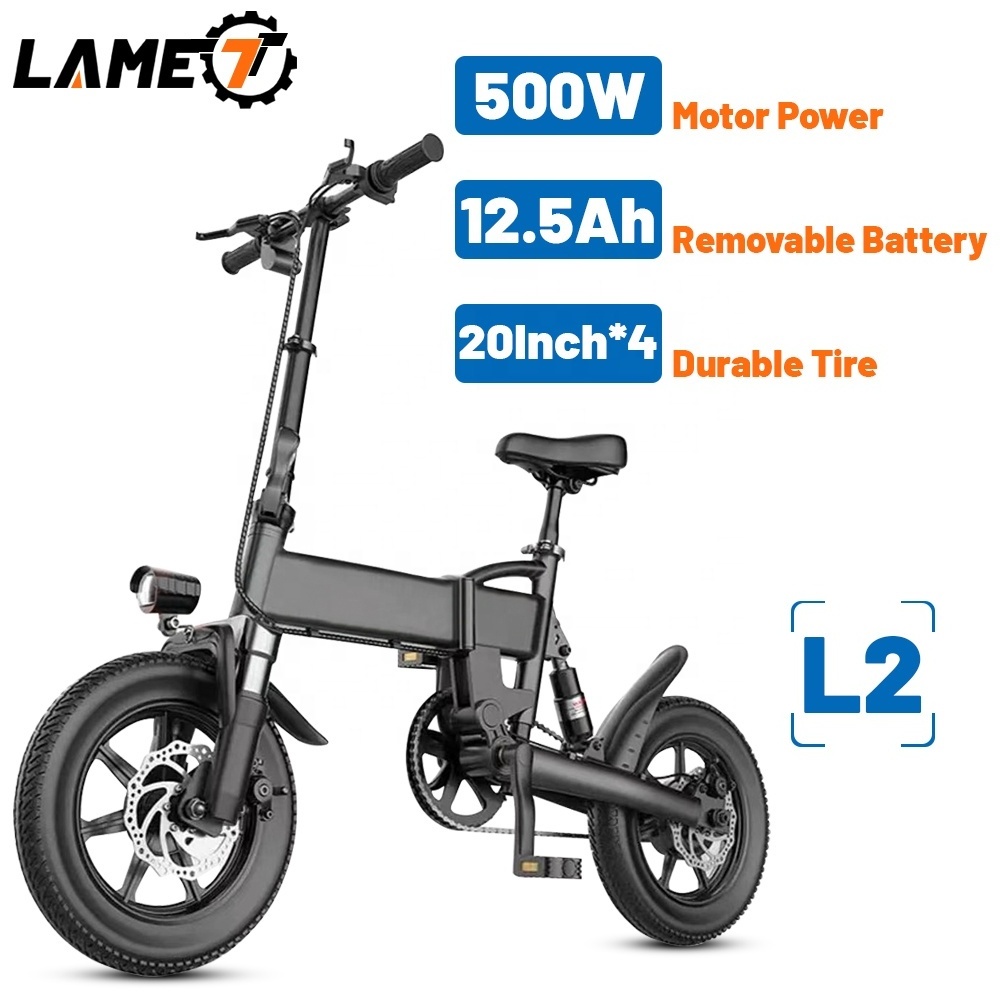 36v250w Motor Mid Drive Electric Bicycle Long Tail Electric Bicycle 20