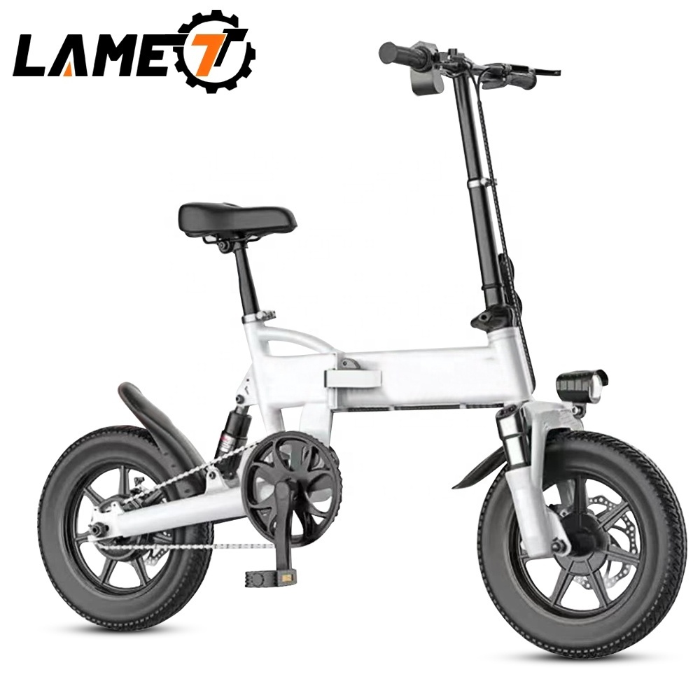 36v250w Motor Mid Drive Electric Bicycle Long Tail Electric Bicycle 20