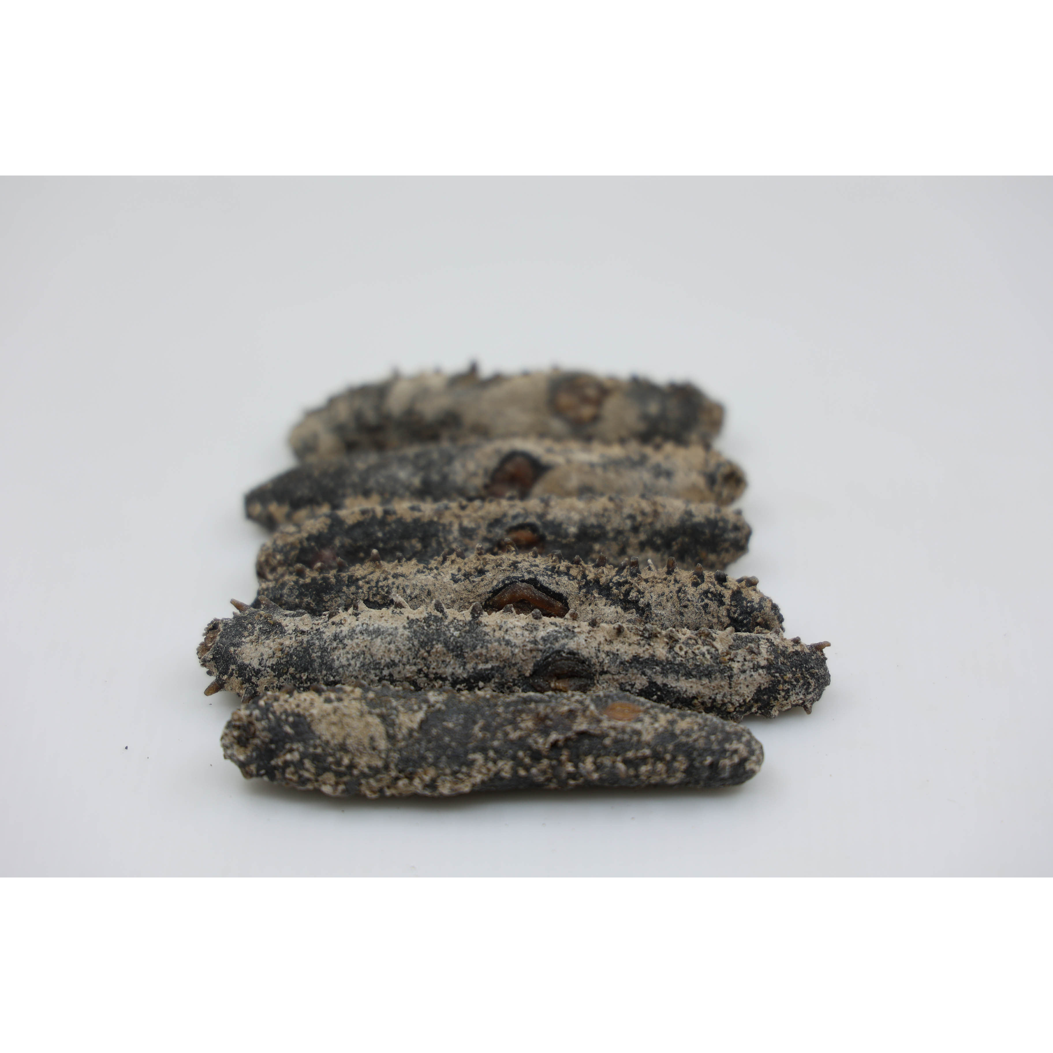 Reasonable Price Highest Quality Dried Sea Cucumber for Sale