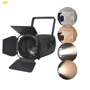 300W/200W Led Cob Zoom Par Light Warm White Cool White 2in1 Spotlight 3200k/4200k/5600k Led Spot Light for Cinema Opera Concerts