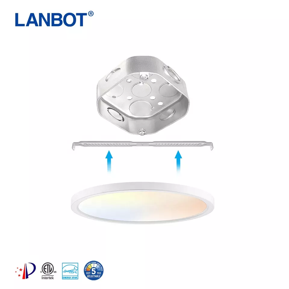 Lanbot Surface Mounted Small Flush Mount Ceiling Light Slim ETL 5CCT Round Ultra-Thin Wall Panels Led Light For Living Room