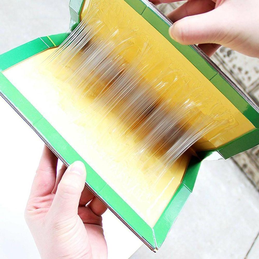 best rat trap foldable rat glue mousetrap pest control indoor home mousetrap