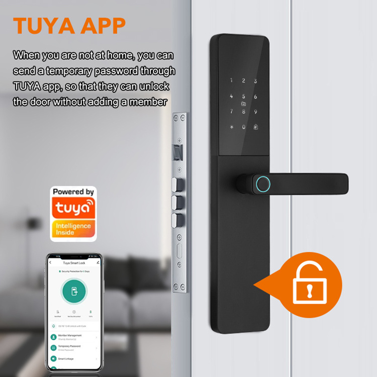 Wholesale Price Wifi TTlock App 6V Dry Battery Smart Door Lock IC Card Smartphone App Unlock Biometric Fingerprint Smart Lock