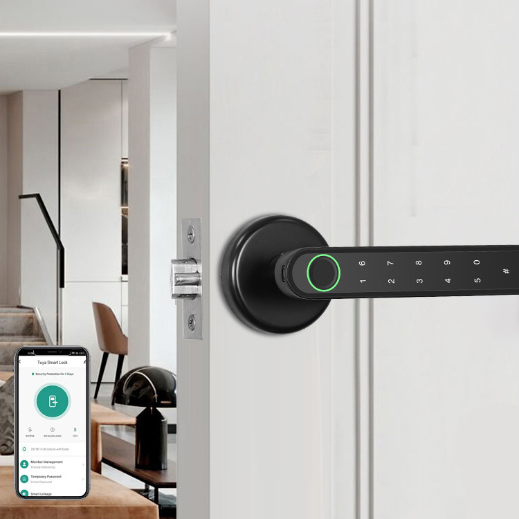 Easy Install Tuya App Smart Door Lock Fingerprint Handle Pass Word Fingerprint Door Lock Biological Recognition Lock