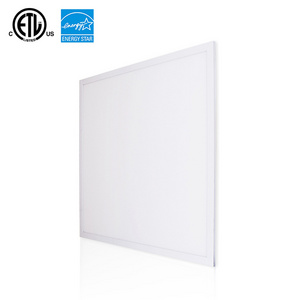 Quick Shipping 2X2 2X4 FT Decorative Skylight 40W Ceiling Fluorescent Light Covers for Classroom /Office