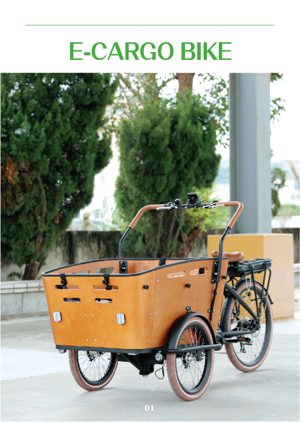 LANDON electric cargo bike electric tricycle cargo bicycle three wheel e-cargo coffee bike 250W