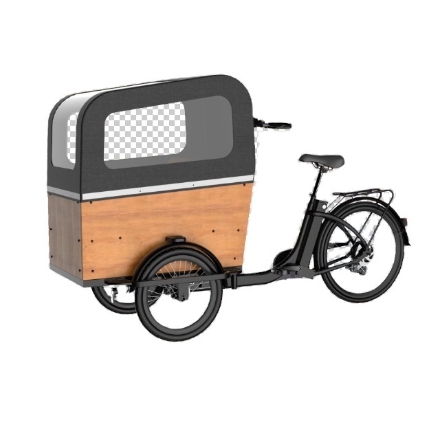 LANDON electric cargo bike electric tricycle cargo bicycle three wheel e-cargo coffee bike 250W