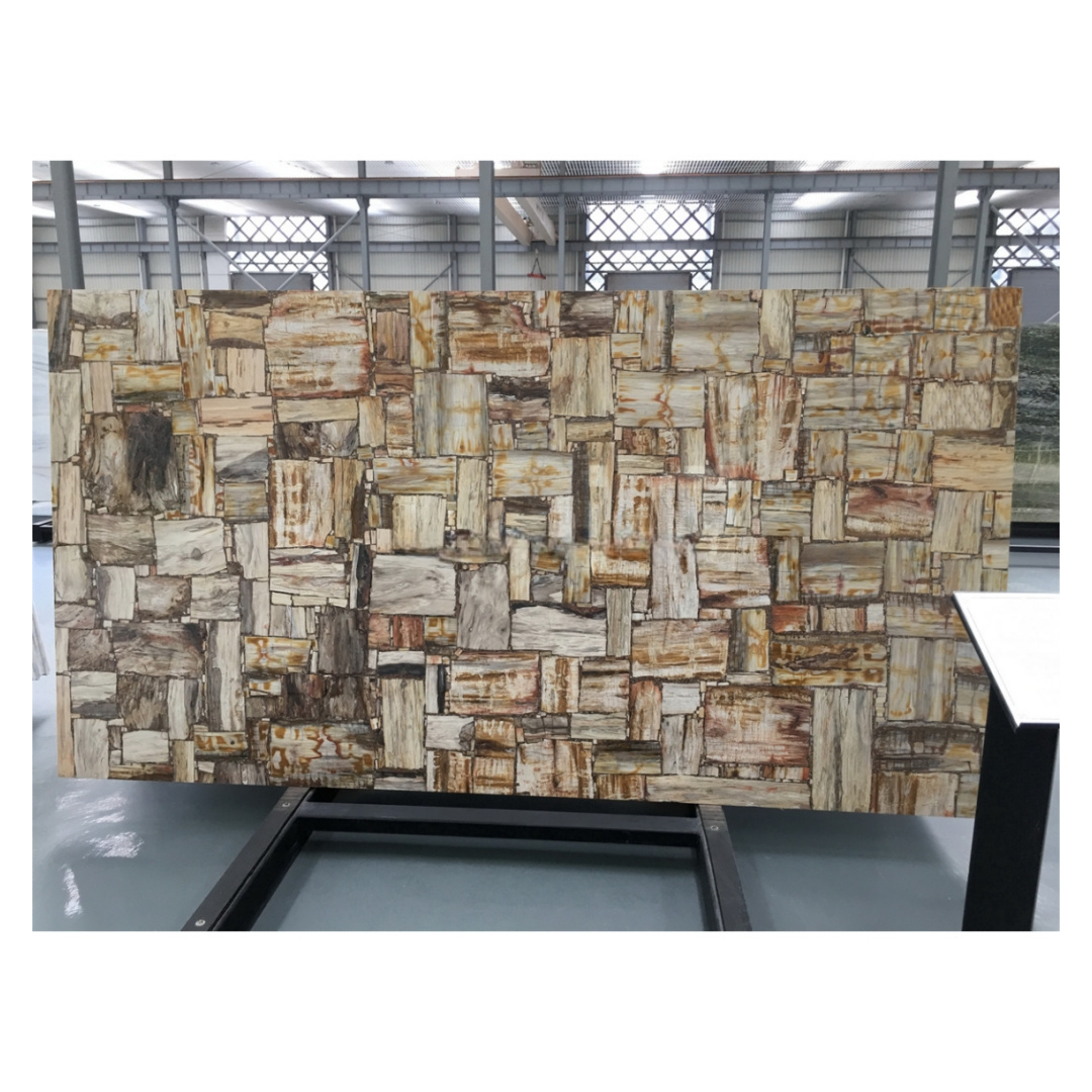 Factory Price Backlit Semiprecious Stone Multicolor Petrified Wood Gemstone Wall Panel Slabs