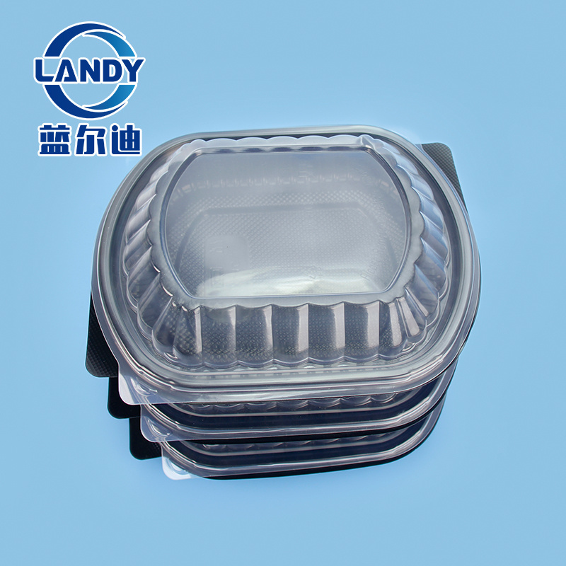 Food Disposable Containers With Transparent Lid Manufacturer