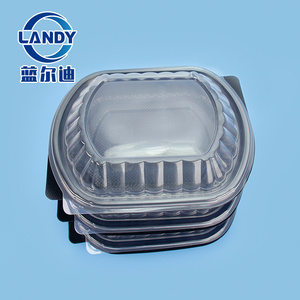 Food Disposable Containers With Transparent Lid Manufacturer